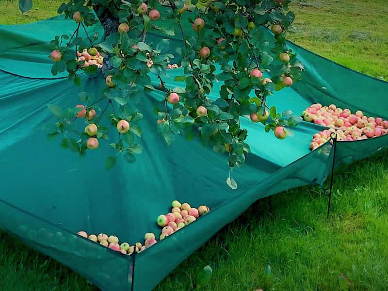 تصویر 2 از خرید توری برداشت محصول + قیمت فروش استثنایی